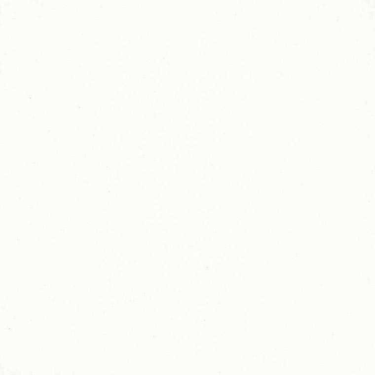 Caesarstone 1141 perfect white