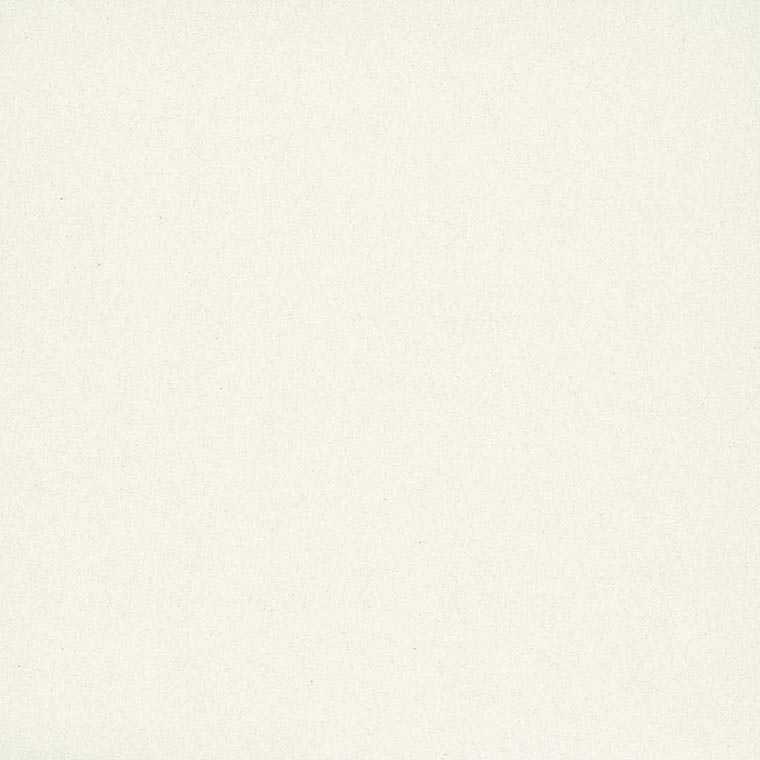 Caesarstone 2141 snow