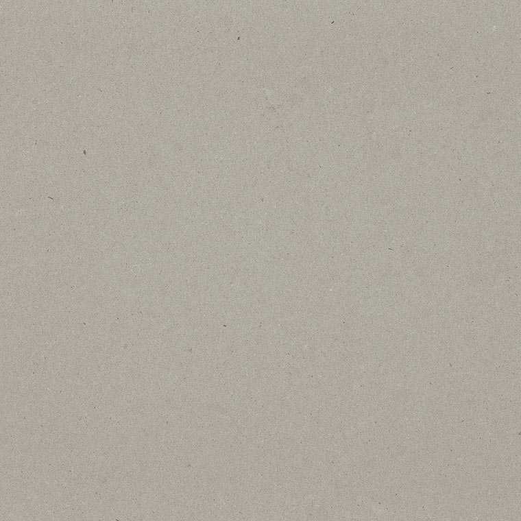 Caesarstone 4004 raw concrete