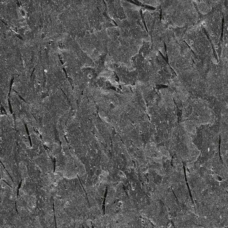 Schiefer otta phyllit